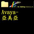 Avaya-Ȭ