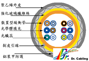 proimages/Cabling-Demonstration/fiber-loose-tube-armored-single-outside-draw.jpg