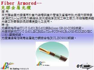 Fiber Armored-R���ݥl...