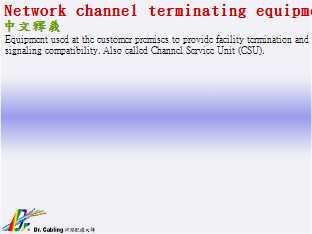 Network channel terminating equipment--qǳƤ...