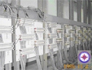engineering-06-01