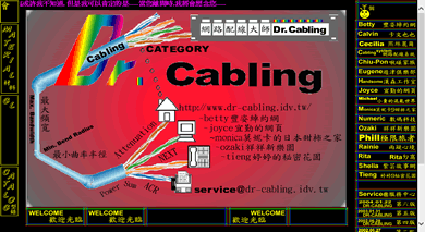 proimages/Cabling-History/2005.02.10-index_1007x615dpi.gif