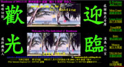 2002.06.27-dr-cabling_180x98dpi