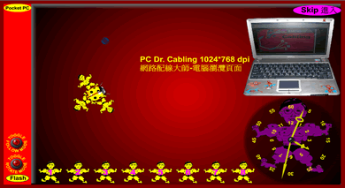 2008.08.20-dr-cabling_801x481dpi