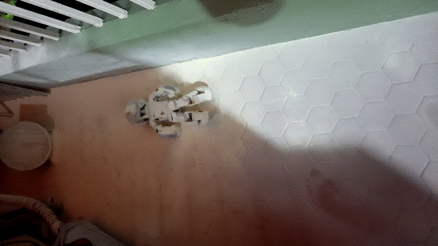 Robi2022.11.27_1_燒起來了.gif