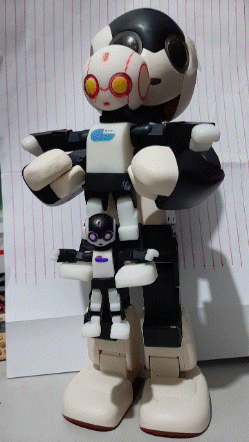 ROBI_可以動的ROBI_13_全家福3合體