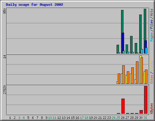 Daily usage for August 2002